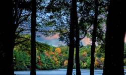 Featured image of post 121.BestTimeToBuyAndSellStock