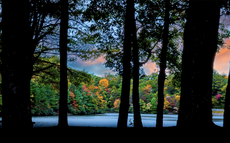 Featured image of post 121.BestTimeToBuyAndSellStock