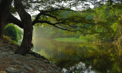 Featured image of post 142. Linked List Cycle II