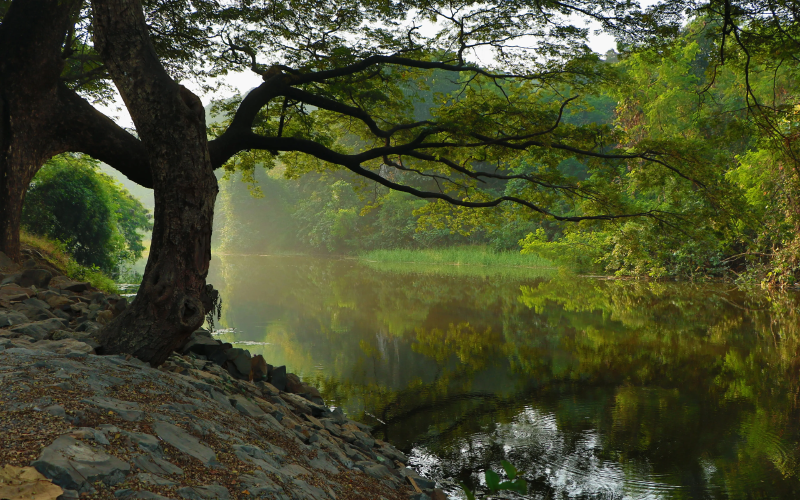 Featured image of post 142. Linked List Cycle II