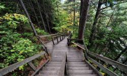 Featured image of post 145.binary-tree-postorder-traversal.java