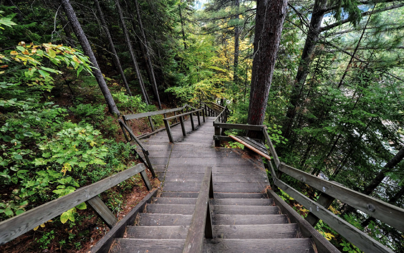 Featured image of post 145.binary-tree-postorder-traversal.java