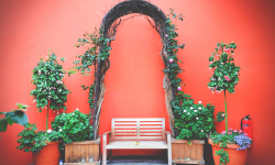 Featured image of post 151. Reverse Words in a String