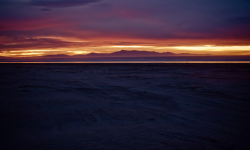 Featured image of post 17.letter-combinations-of-a-phone-number