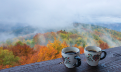 Featured image of post 1874. Minimize Product Sum of Two Arrays