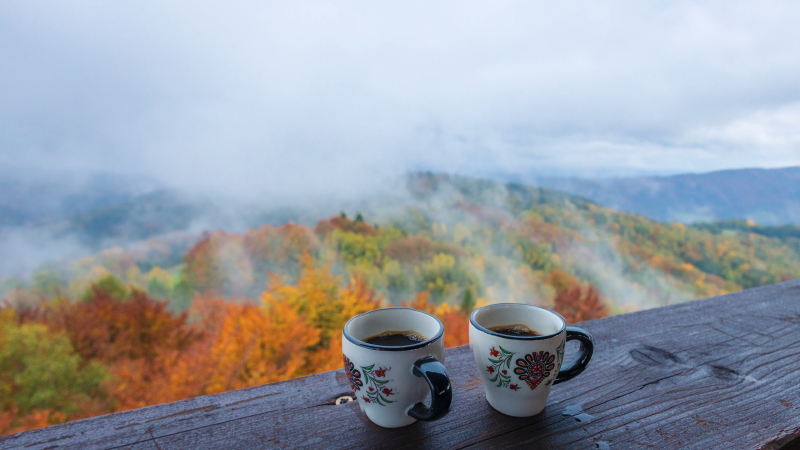 Featured image of post 1874. Minimize Product Sum of Two Arrays