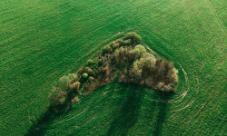 Featured image of post 19. Remove Nth Node From End of List