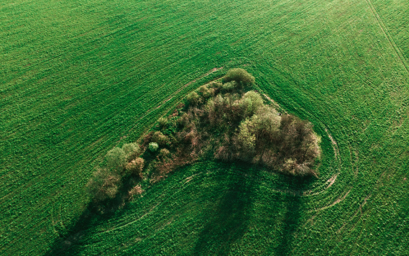 Featured image of post 19. Remove Nth Node From End of List