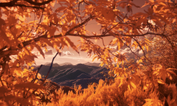 Featured image of post 198.HouseRobber