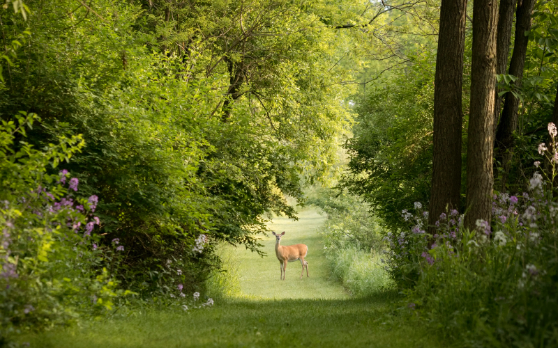 Featured image of post 206. Reverse Linked List