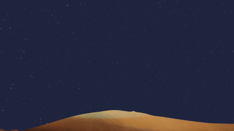 Featured image of post 213.HouseRobberII