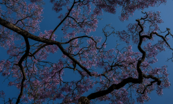 Featured image of post 232. Implement Queue using Stacks