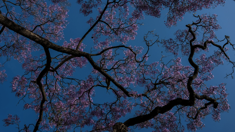 Featured image of post 232. Implement Queue using Stacks