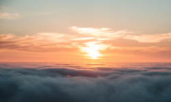 Featured image of post 344. Reverse String