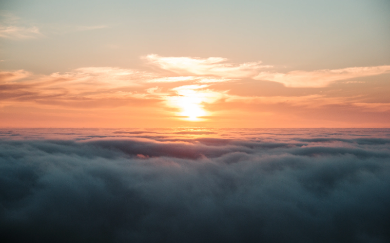 Featured image of post 344. Reverse String