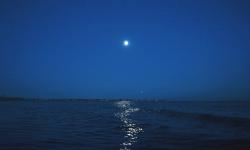 Featured image of post 46.Permutations