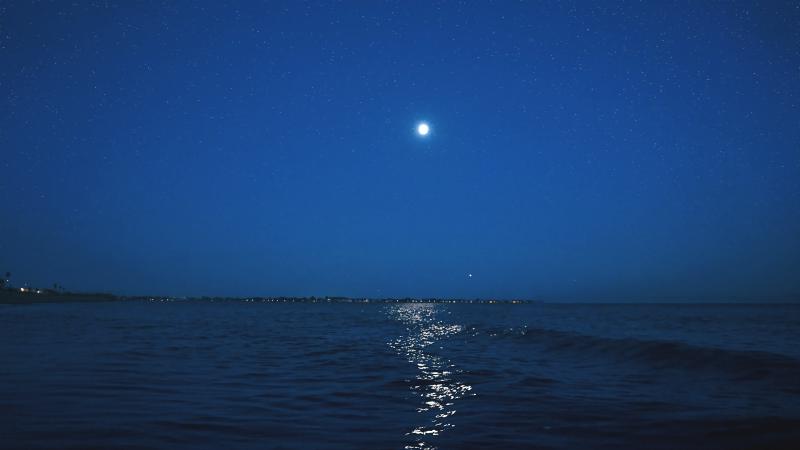 Featured image of post 46.Permutations