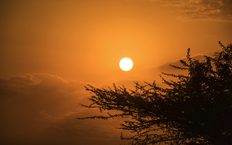 Featured image of post 62. Unique Paths