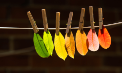 Featured image of post 707. Design Linked List