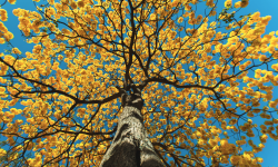 Featured image of post dynamic programming