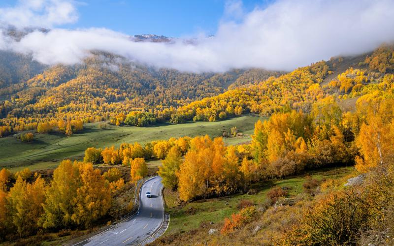 Featured image of post 如何用 GitHub Pages + Hugo 搭建个人博客